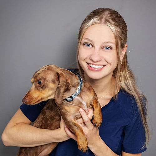 A smiling woman with long blonde hair, wearing a navy blue shirt, holds a brown dachshund dog against a plain gray background.