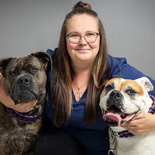 A woman with long brown hair and glasses, wearing a blue top, smiles while sitting between two large dogs, one brindle and one white with brown spots, both wearing matching purple collars.