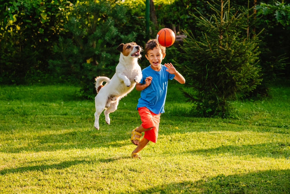 A happy young boy in a blue shirt and red shorts runs on green grass, smiling as his small dog—recently checked by the vet—jumps beside him, both chasing an orange ball in a sunny garden.