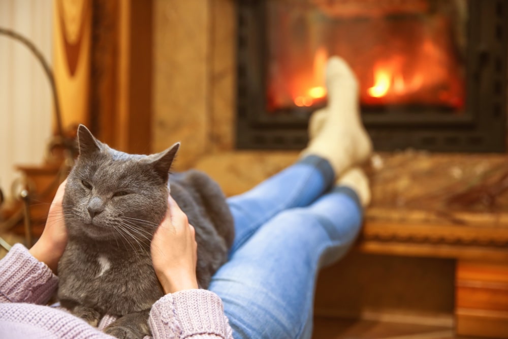 A veterinarian in jeans and socks relaxes by a fireplace, gently holding a content gray cat on their lap. The cozy, warm atmosphere is enhanced by the glowing fire in the background.