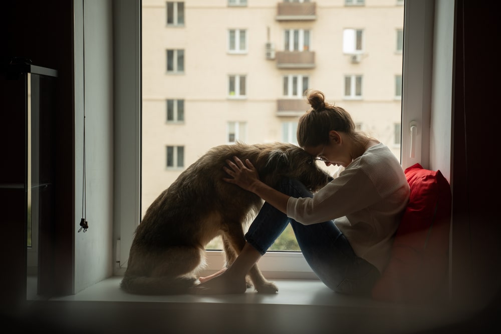 A woman sits on a windowsill, leaning her forehead against her large dog’s head. They share a quiet, comforting moment together after a visit to the veterinarian, with an apartment building visible outside the window.