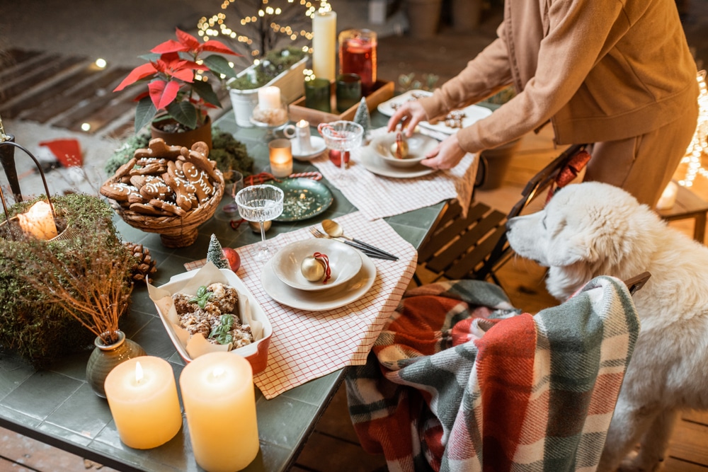 A festive holiday table is set outdoors with candles, cookies, and decorations. A veterinarian arranges plates while a large white dog with a plaid blanket looks on. Warm lights and holiday greenery add to the cozy atmosphere.
