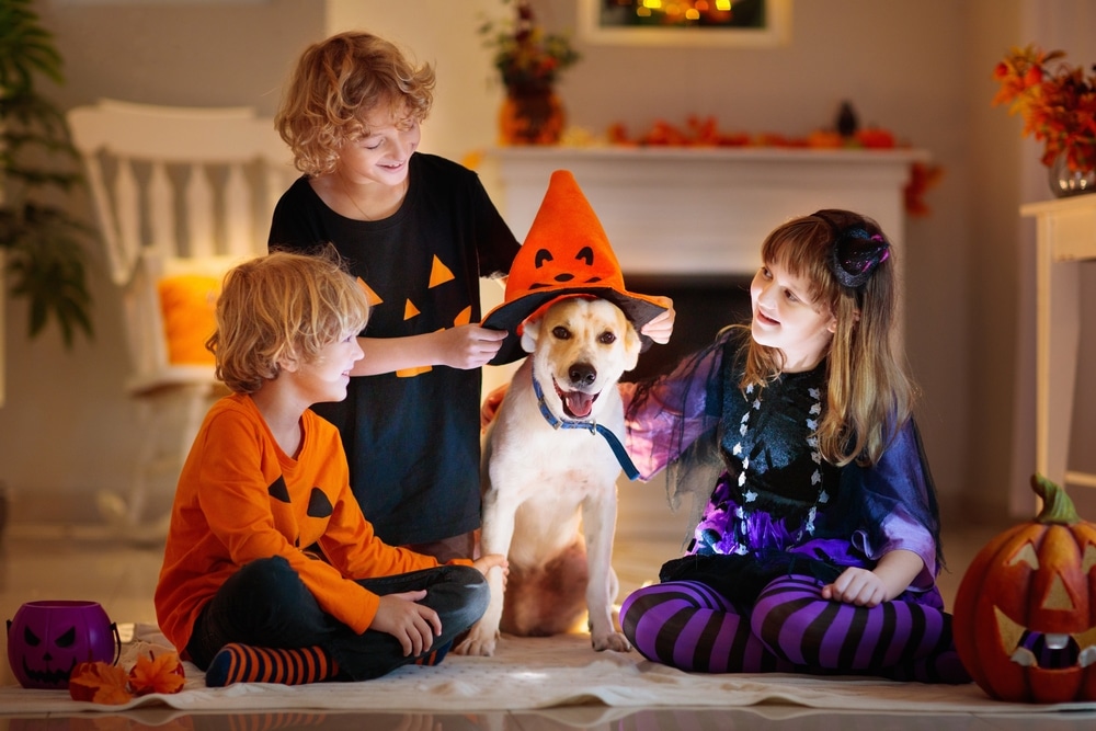 Three children in Halloween costumes sit indoors around a dog, who looks ready for a vet visit in an orange witch hat. Pumpkins and festive decorations surround them, creating a happy and playful scene.