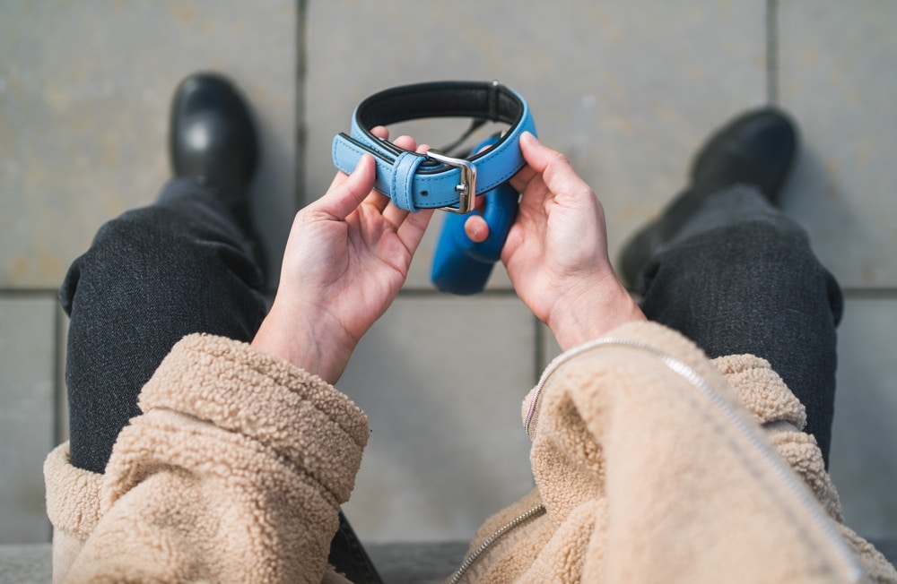 A person wearing a tan fleece jacket and black pants sits and holds a blue dog collar, possibly waiting for their vet. The photo is taken from above, showing only their hands, legs, and feet.