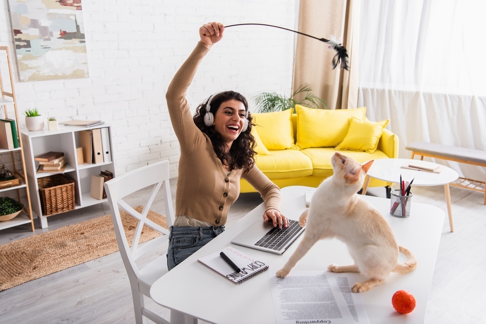 A smiling woman wearing headphones sits at a desk with a laptop, playing with her cat using a feather toy. The cat is on the table, looking up at the toy—a cozy home scene perfect for any vet or animal lover. A yellow couch and shelves are in the background.