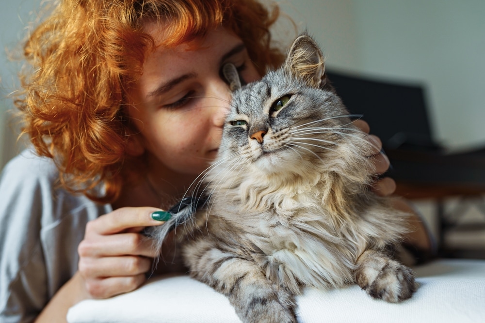 A smiling veterinarian with curly red hair lovingly cuddles a fluffy gray tabby cat, gently touching its fur. The relaxed cat, eyes half-closed, looks content and safe in the caring arms of the vet.