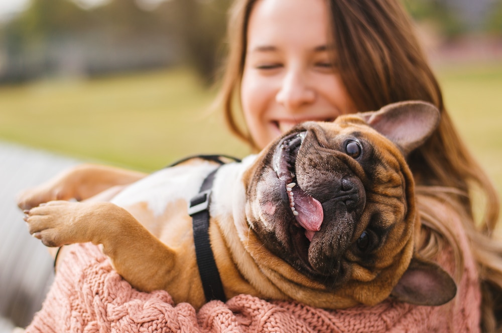 A smiling woman in a pink sweater hugs her happy French Bulldog, recently checked by the vet, as it lies on its back outdoors in a park, looking at the camera with its tongue out.