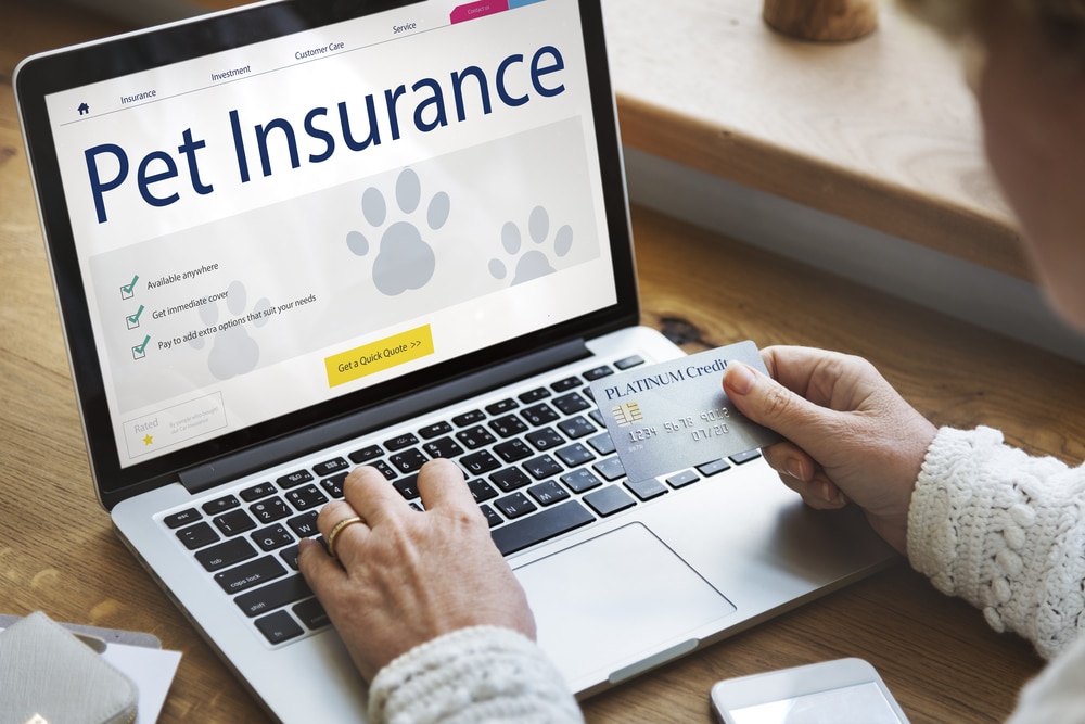 A person holding a credit card sits at a desk using a laptop displaying a “Pet Insurance” website with paw prints, check marks, and a yellow "Get a Quick Quote" button—perfect for vet visits or unexpected veterinarian expenses.